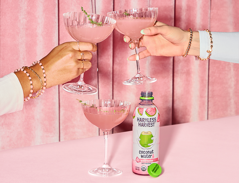 Coconut Water Cocktail - Watermelon Martini Recipe - Harmless