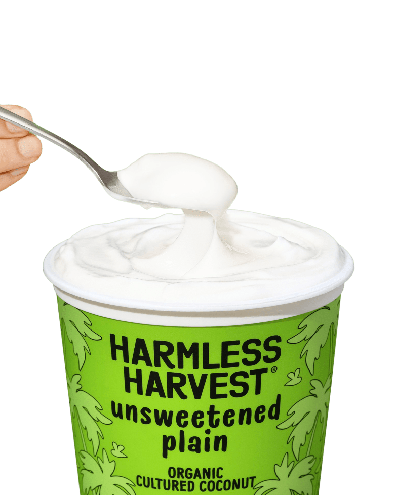 Spoonful of Unsweetened Plain Organic Cultured Coconut