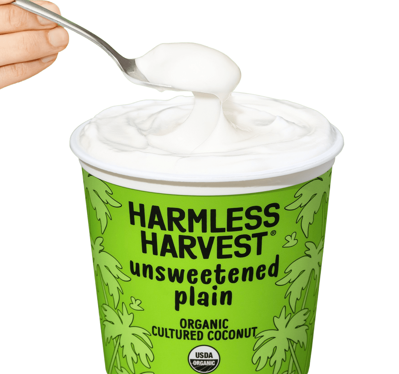 Spoonful of Unsweetened Plain Organic Cultured Coconut
