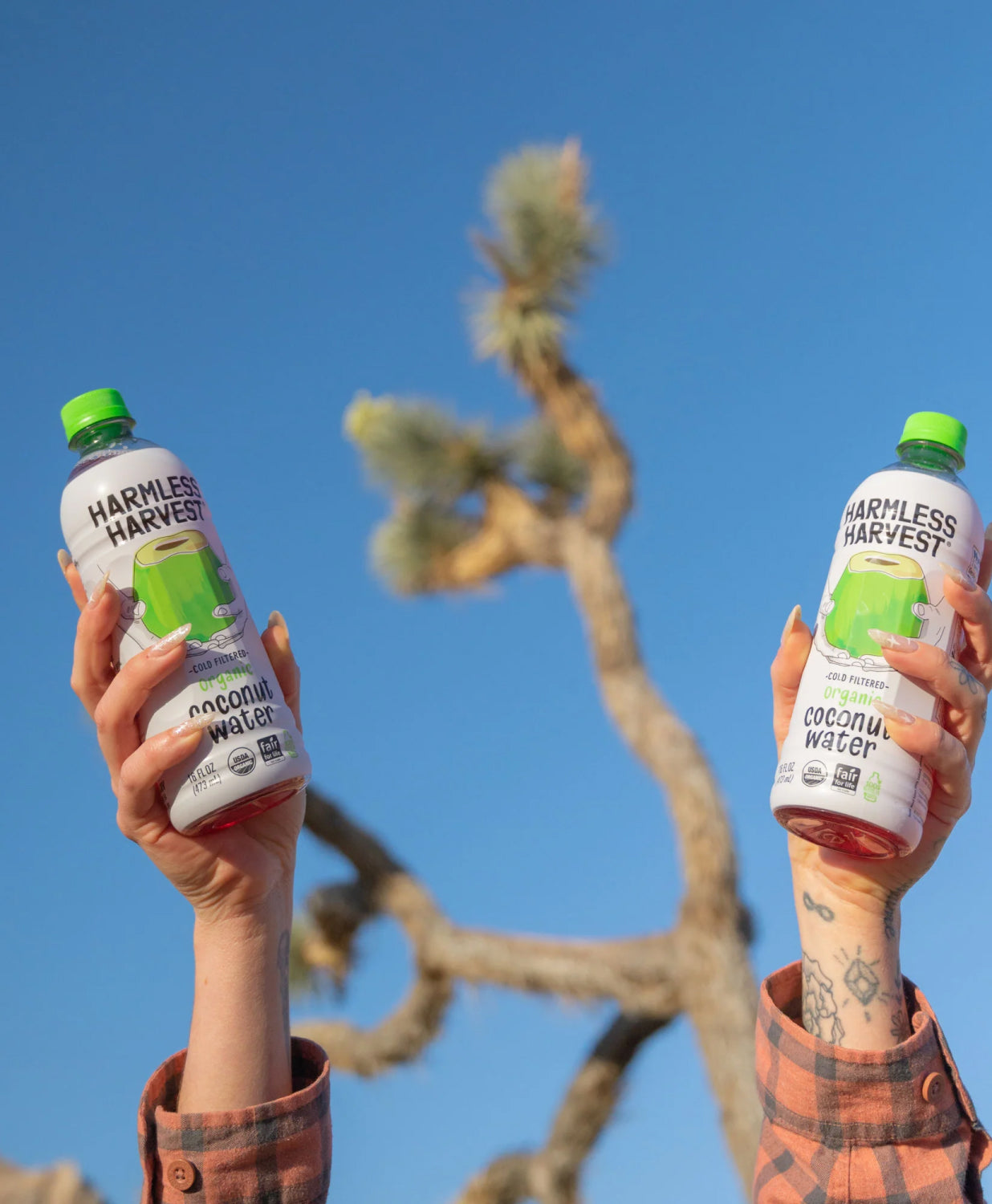 Two hands holding up two bottles of Harmless Harvest organic coconut water with Joshua Tree in background.