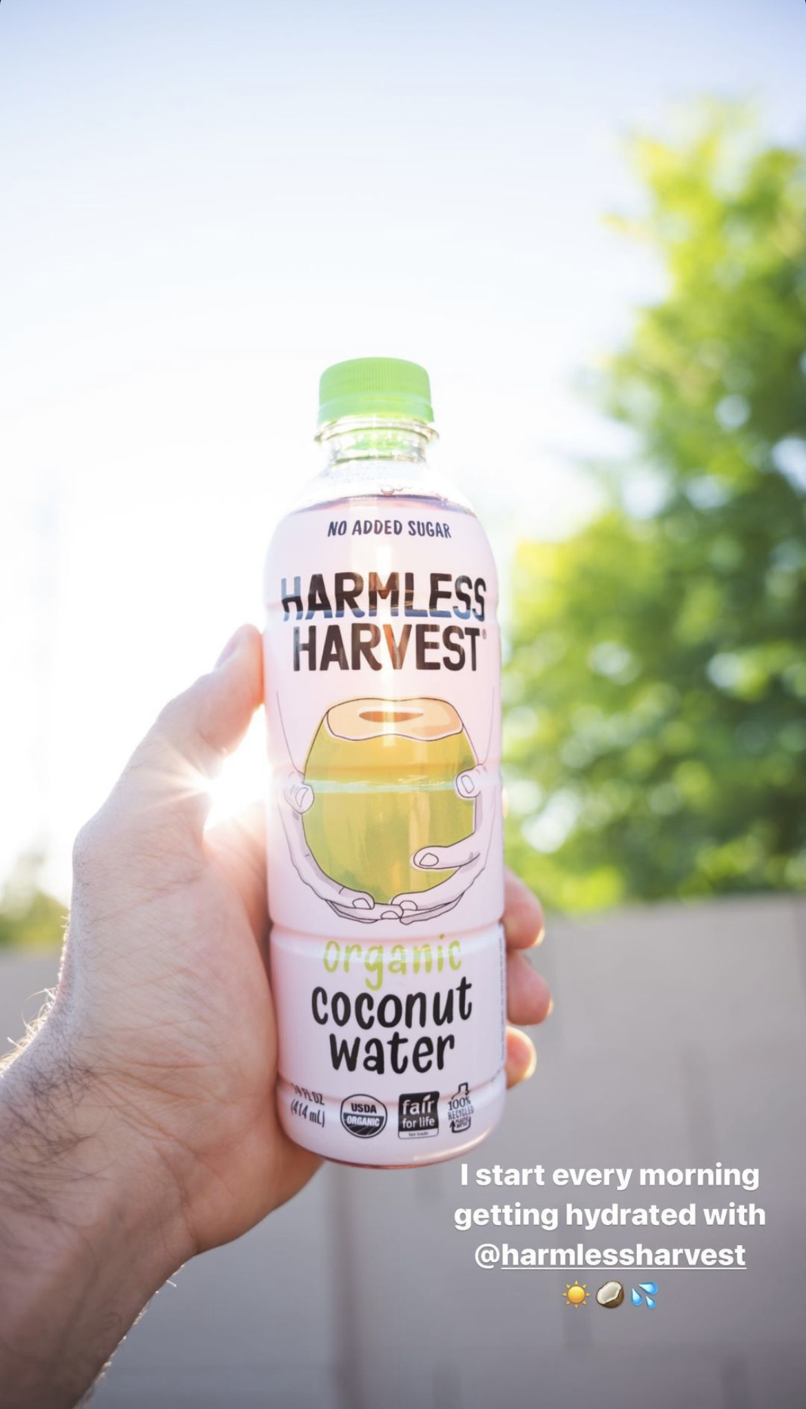 Person holding Harmless Harvest Organic Coconut Water. Caption: I start every morning getting hydrated with @harmlessharvest.